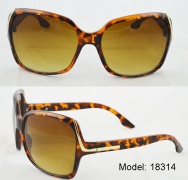 plastic sunglasses