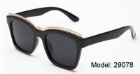 Plastic  sunglassees