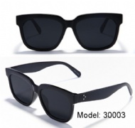 Plastic  sunglassees