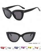 Plastic Sunglasses