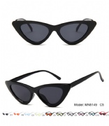 Plastic Sunglasses