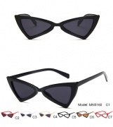 Plastic Sunglasses