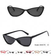 Plastic Sunglasses