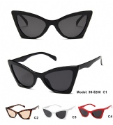 Plastic Sunglasses