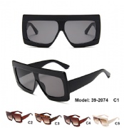 Plastic Sunglasses