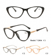 Plastic Reading Glasses