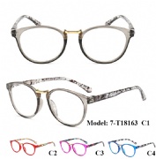Plastic Reading Glasses