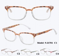 Plastic Reding Glasses
